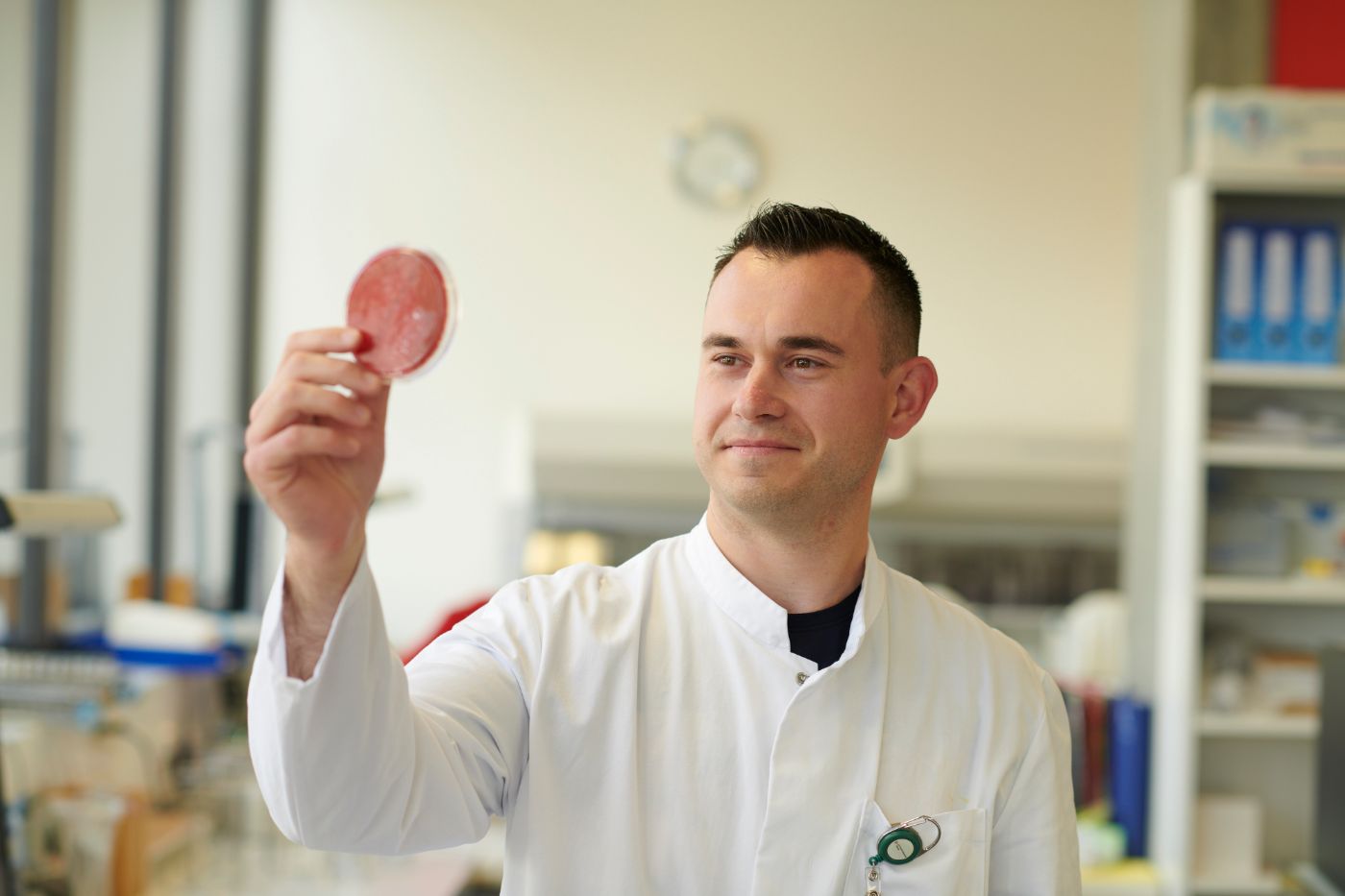 Mitarbeiter von der Bakteriologie prüft Probe auf der Petrischale