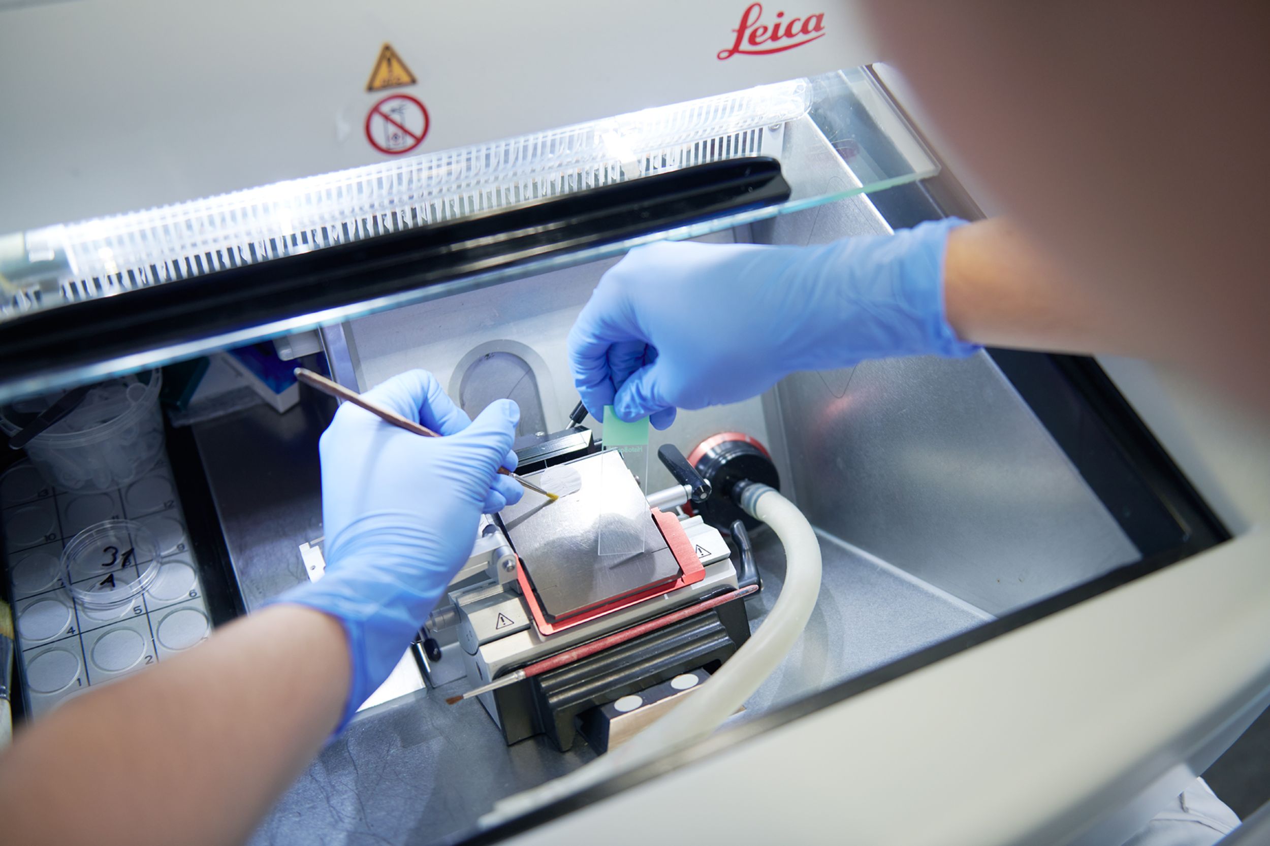 Pathology employee works on a cryostat