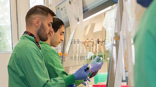 Eine neue Studie von Forschenden des Universitätsspitals Basel, der Universität Basel und internationalen Partnern zeigt, dass ein neuer Blutmarker künftig helfen könnte, das Fortschreiten von Multipler Sklerose (MS) besser zu erkennen.