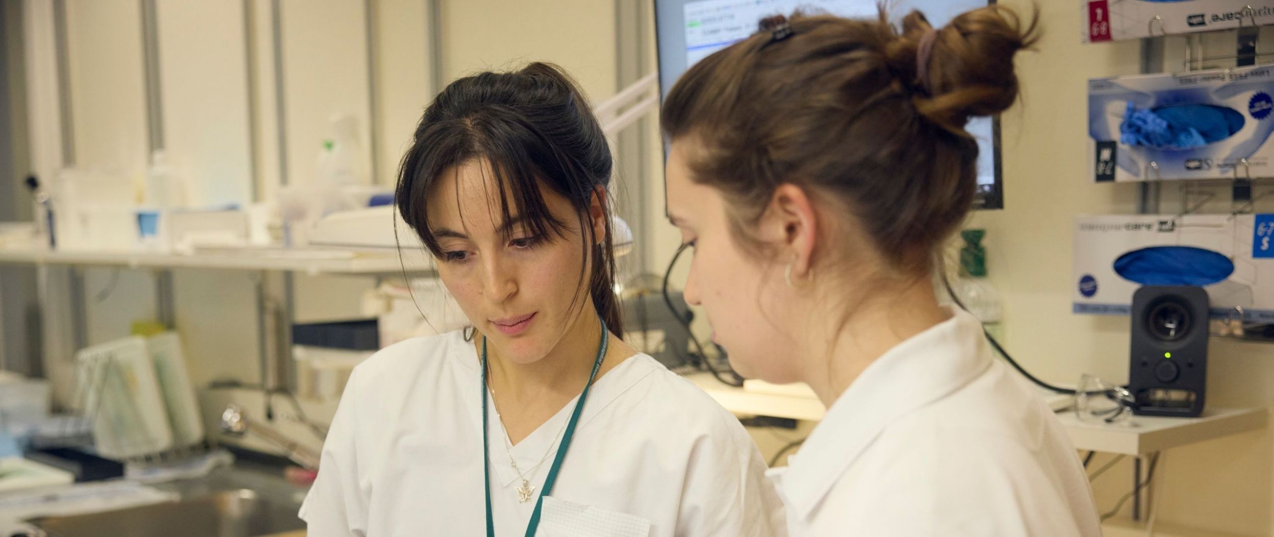 Zwei Unterassistentinnen im Gespräch