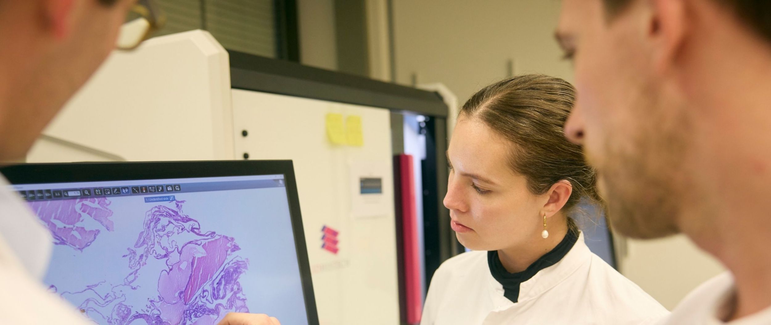 Eine Expertin begutachtet mit Kollegen eine Probe auf einem digitalen Display.