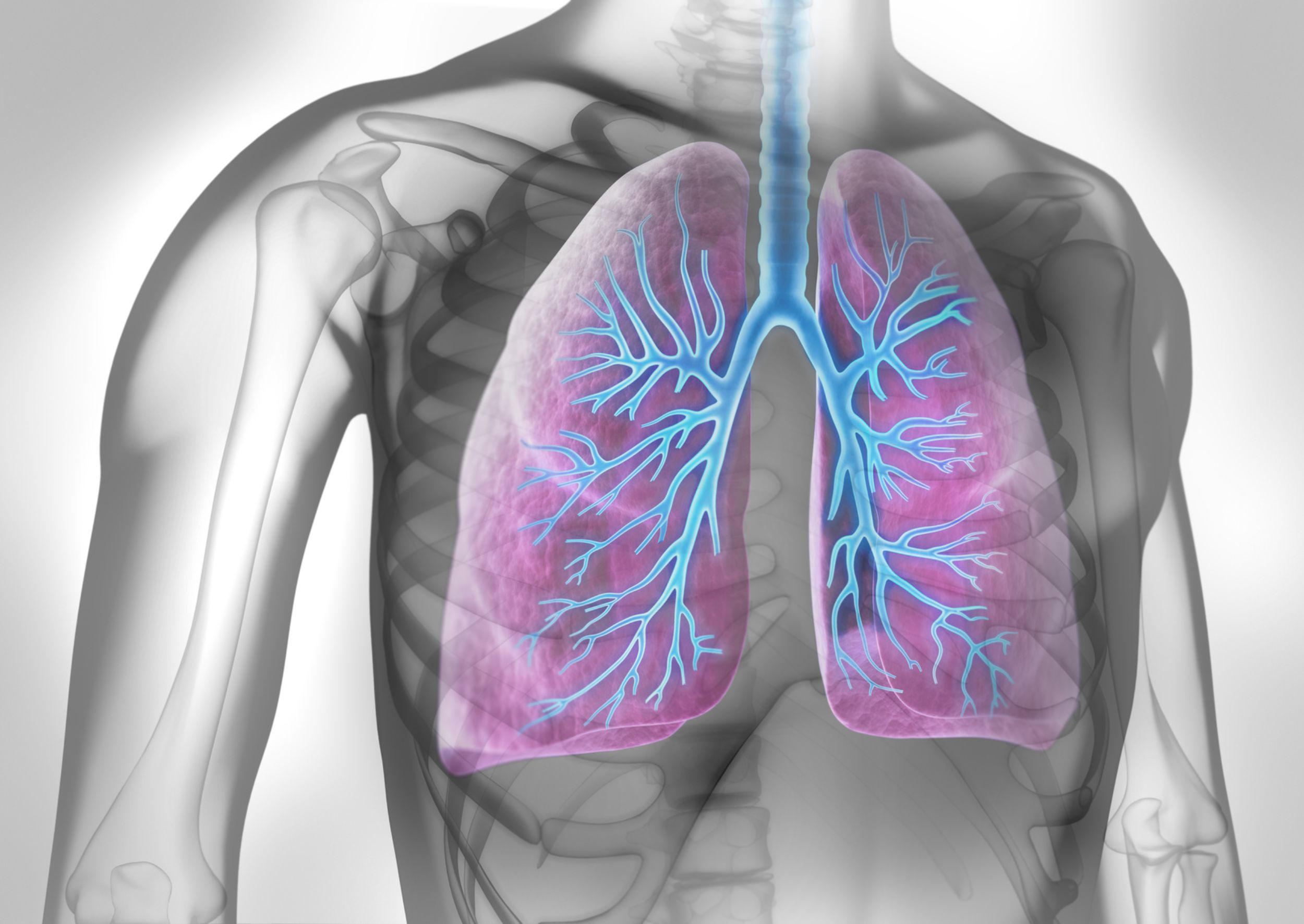 Lung tumor board