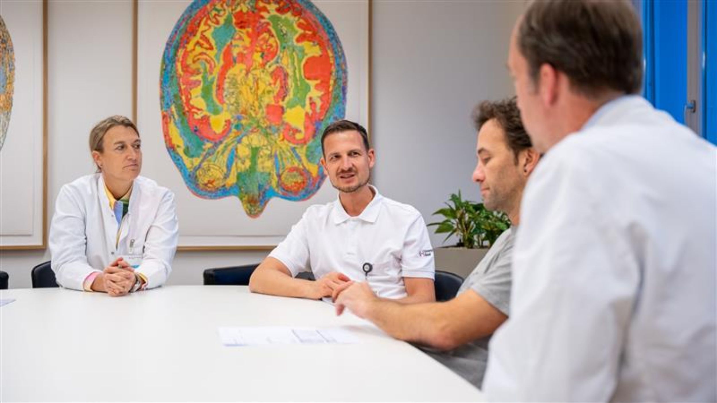 Bild einer Wirbelsäule