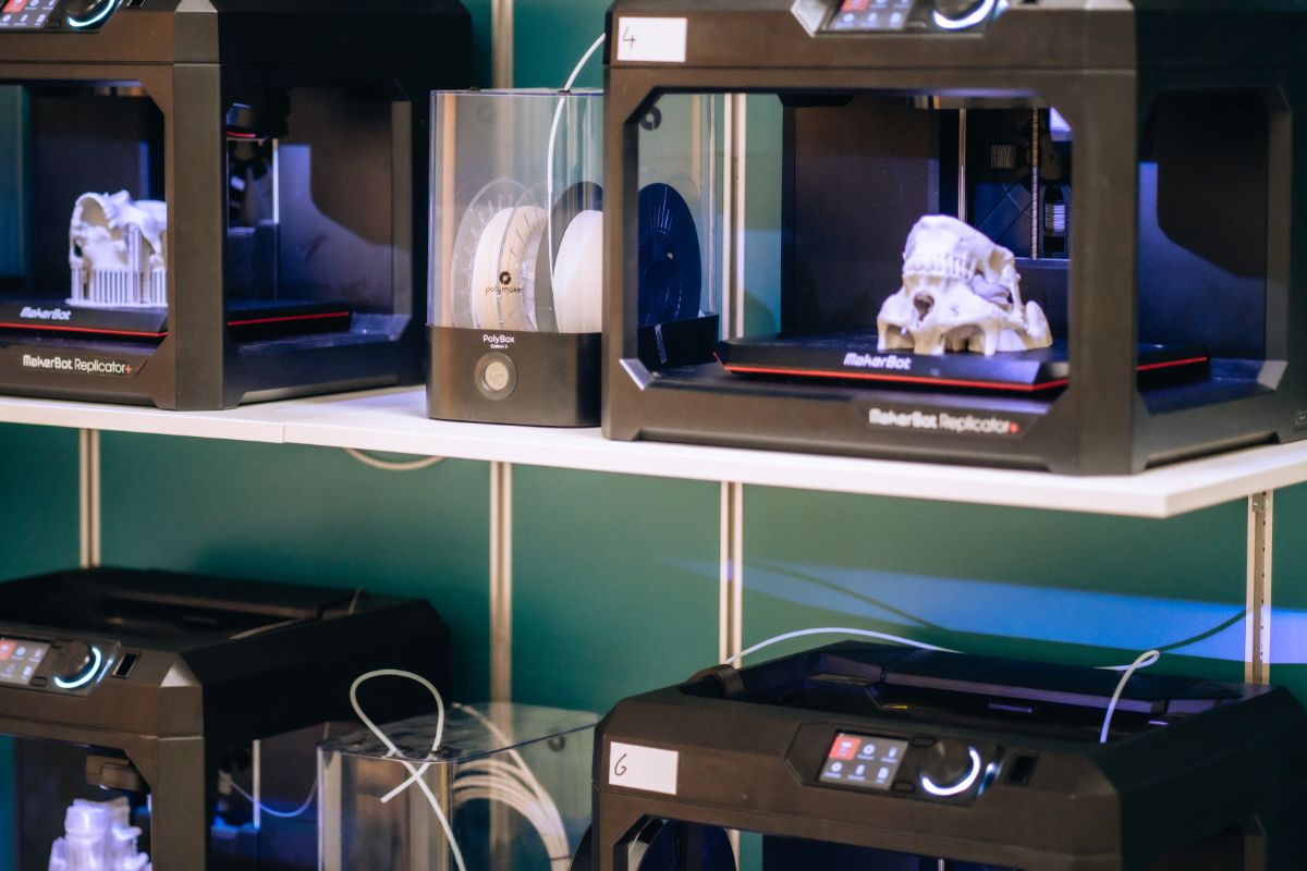 Modèle de dentition