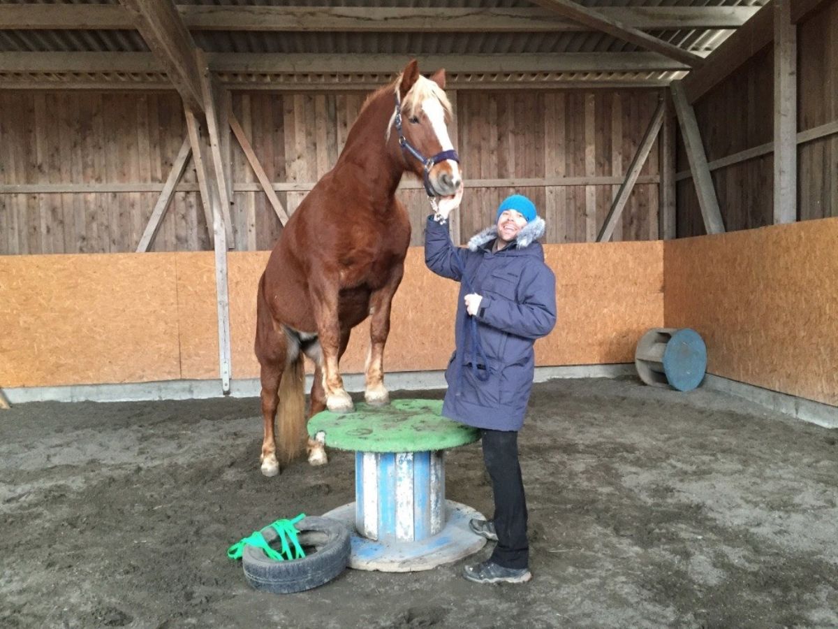 Dr. Sebastian Mayer mit Pferd