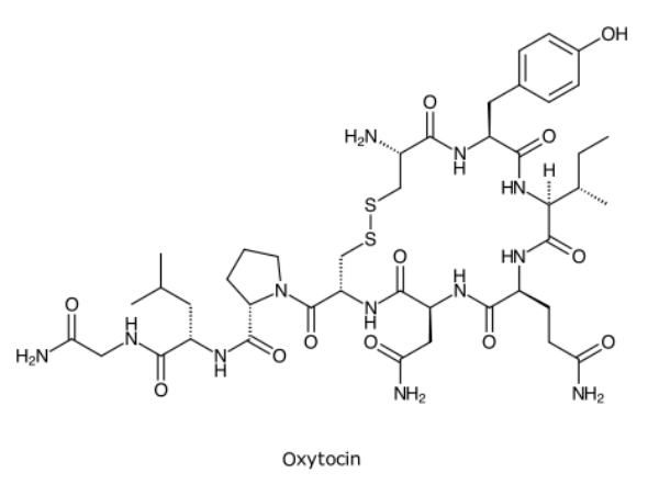 Klinisch relevanter Mangel an «Kuschelhormon» Oxytocin nachgewiesen