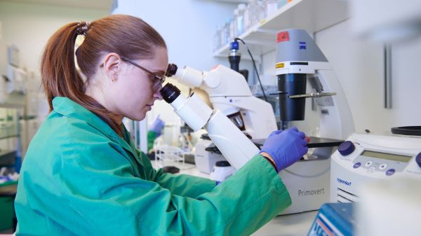 Medizinische Studien sollen fairer und realistischer werden